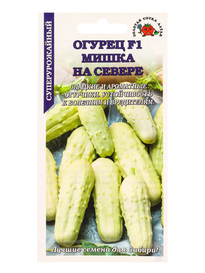 Семена Огурец «Мишка на севере», 0.3 г, белый, «Золотая Сотка Алтая»