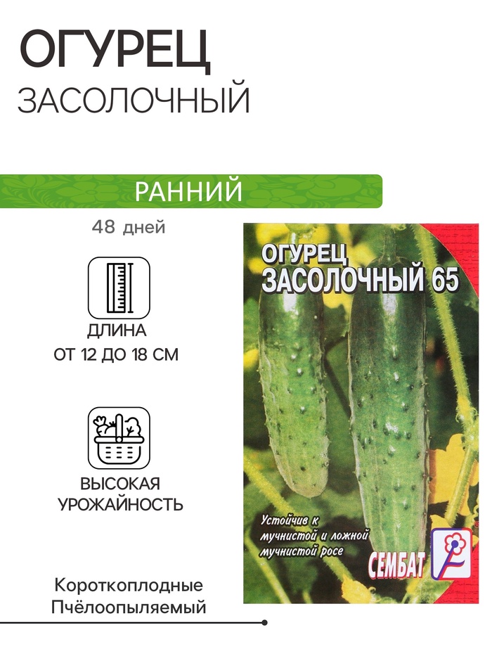 Семена Огурец 