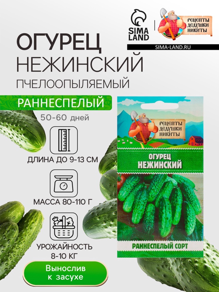 Семена Огурец «Нежинский», 0.5 г, «Рецепты дедушки Никиты»